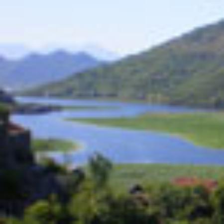 JinTaiYang XiangLa Xie